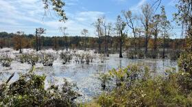 Mingo National Wildlife Refuge