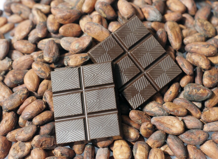 Two pieces of dark chocolate with patterned surfaces rest on a pile of dried cocoa beans.