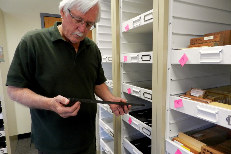 Fish System Forensics Wildlife Forensics Lab Uses Tech To Sniff, Identify Illegal Wood | WUSF