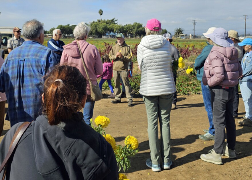 Ventura County Farm Day is going ahead "rain or shine" on Saturday