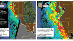 Red tide map