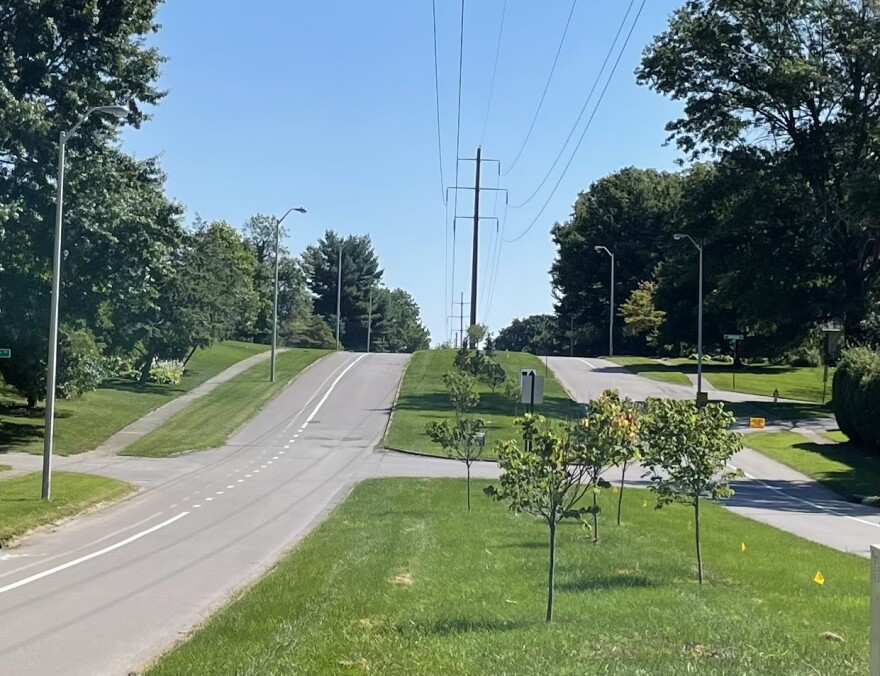 Lansdowne Drive-Lexington