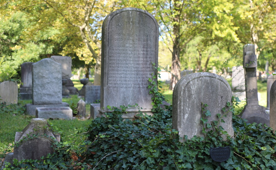 Ivy climbs graves at Norfolk's Elmwood Cemetery in September 2026.