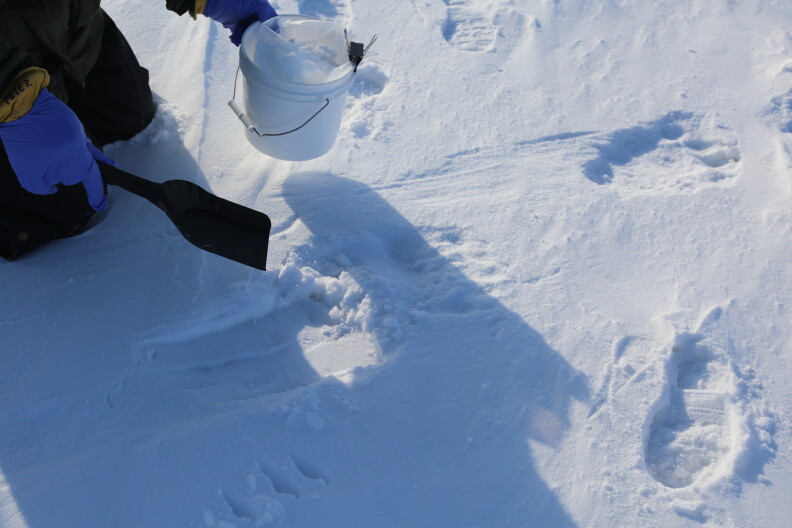 Peter Detwiler, North Slope Borough wildlife technician, samples polar bear footprints in snow.