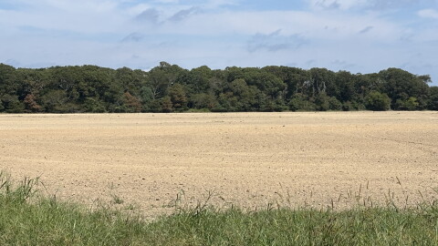 The tract of land in Cape Charles where a resident says aerial pesticide spraying has contributed to health issues, as seen in September 2026.