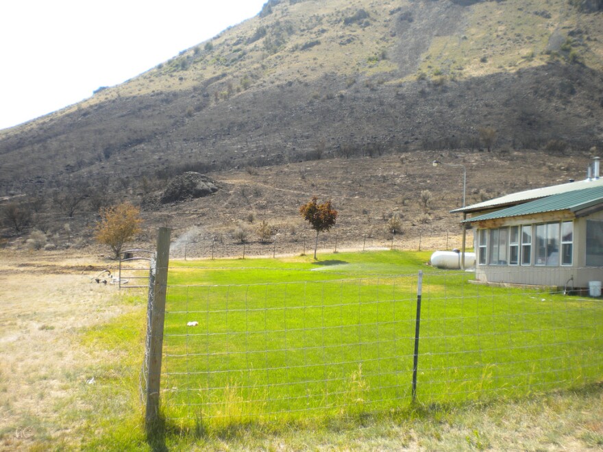 This small house with a family with five kids was saved by defensible space at the Chelan Butte Fire in 2011. The property had green grass all the way around. The owner is a former Forest Service employee who knows what it means to live in fire country.