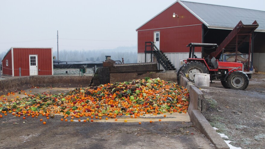 The butter sculpture will be dumped into this pit of rotting fruit and vegetables on the Reinford family's farm. Then, all that food will get ground up and put into the farm's methane digester.