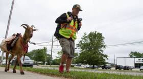Steve Wescott and his goat Leeroy walk along 16th Street through Indianapolis.