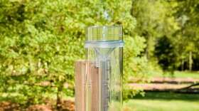 A clear plastic rain gauge stands in a summer garden, supported by a wooden post.