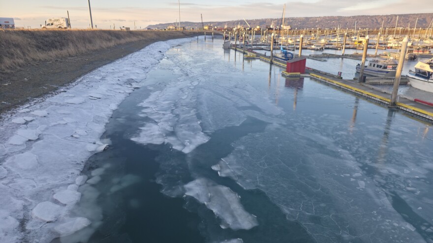 Ice buildup in Homer Harbor on Tuesday, Dec. 16. 2025.