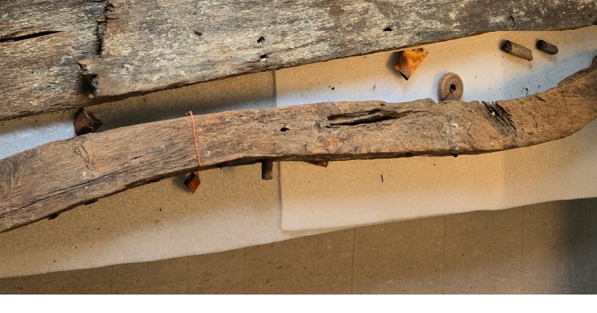 Remains of Colonial Era Shipwreck Return to Vienna