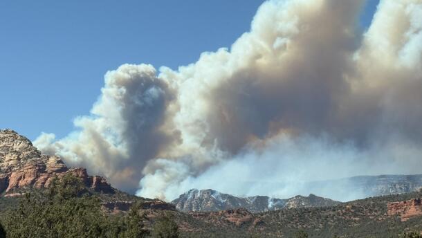 Large plume of grey smoke in blue sky above green trees