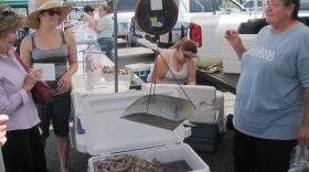 Clara Gerica (right) shares some seafood tips, and stories, at the Crescent City Farmers Market.