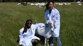 Student vets pose for a picture with a goat