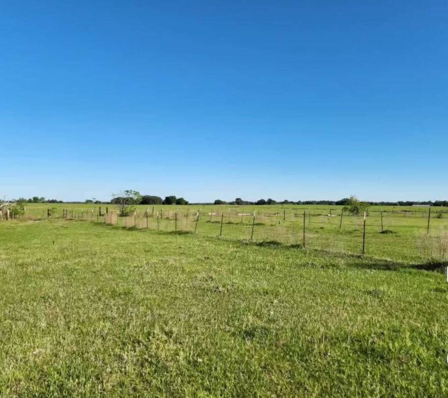 The Lake Panasoffkee property in Sumter County will be transformed into a new dairy operation facility for HammerTime Hollow.