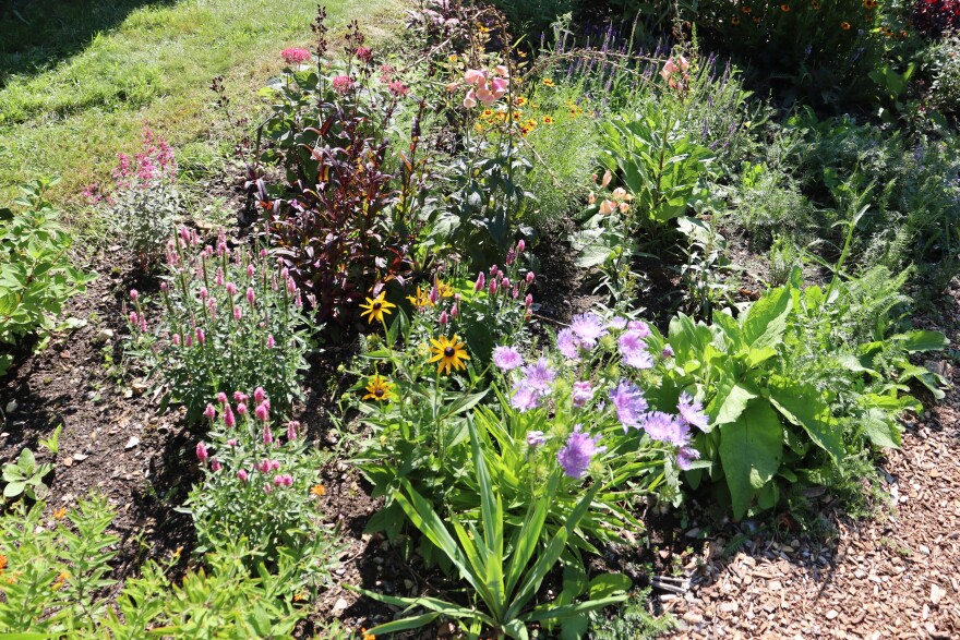 Photos of the home garden of CAI's The Garden Lady, C.L. Fornari 