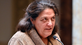 Democratic Sen. Karen Berg was among those who opposed overriding the veto of Senate Bill 150. Her son Henry Berg-Brousseau, who was trans, died by suicide last year.