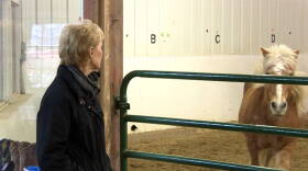 Program director at Agape Therapeutic Riding, Linda Hazard, watches as men in the group participate in a training activity with the horses called lunging.