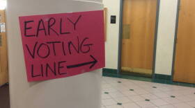 Voters hoping to cast their ballots on the final day of early voting Monday faced massive lines and hours-long waits.