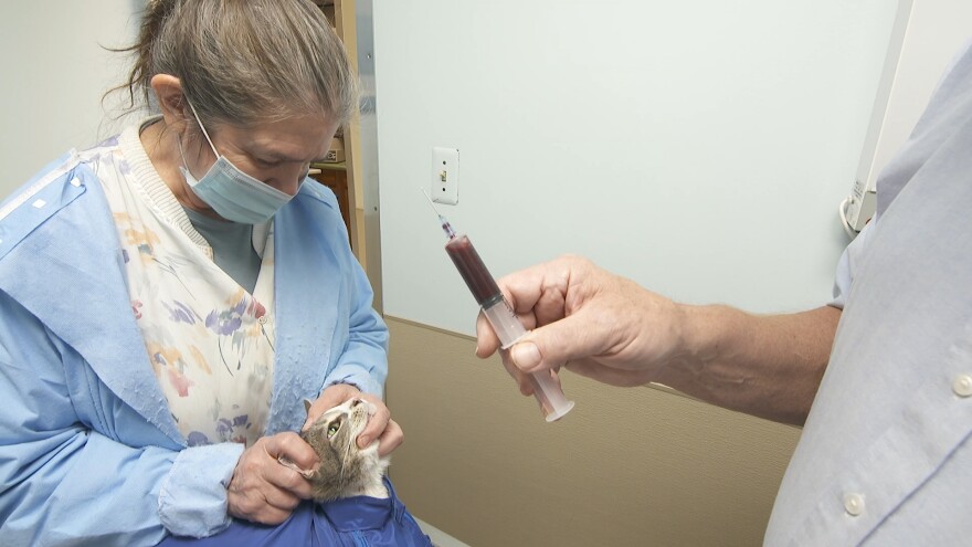 As part of the "PFAS in the House" story, Ling-Ling got her blood tested for PFAS levels.