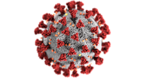 This illustration, created at the Centers for Disease Control and Prevention (CDC), reveals ultrastructural morphology exhibited by coronaviruses.