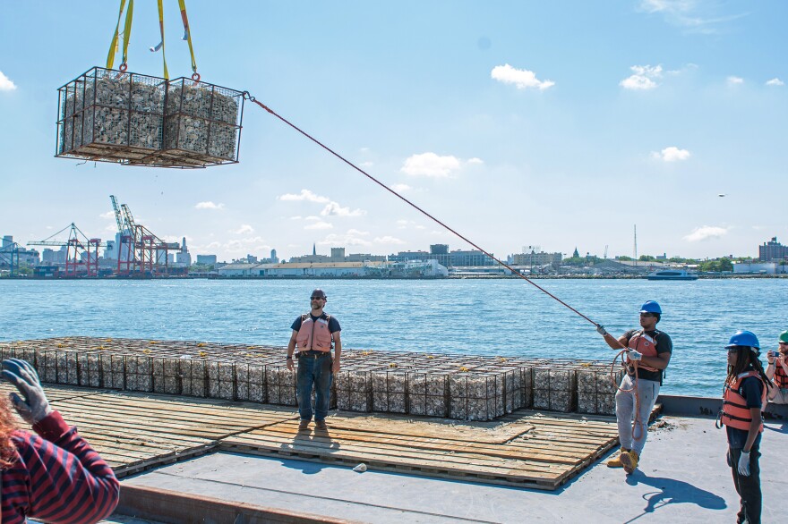 Randall Clarke Dennis, left, an instructor at the Harbor School, watches students Timothy Morrison, middle, and Lijasad Maxwell, right, as they send 422 oyster reef structures into the Hudson River.