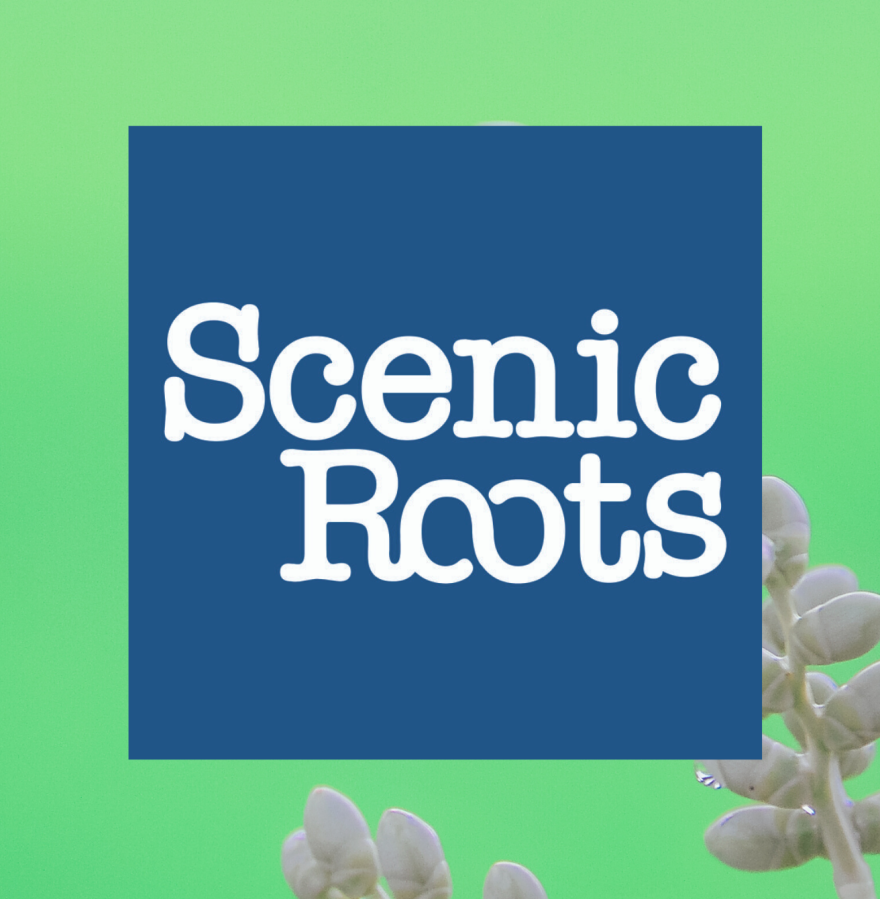 Scenic Roots - Mon 10/26/20