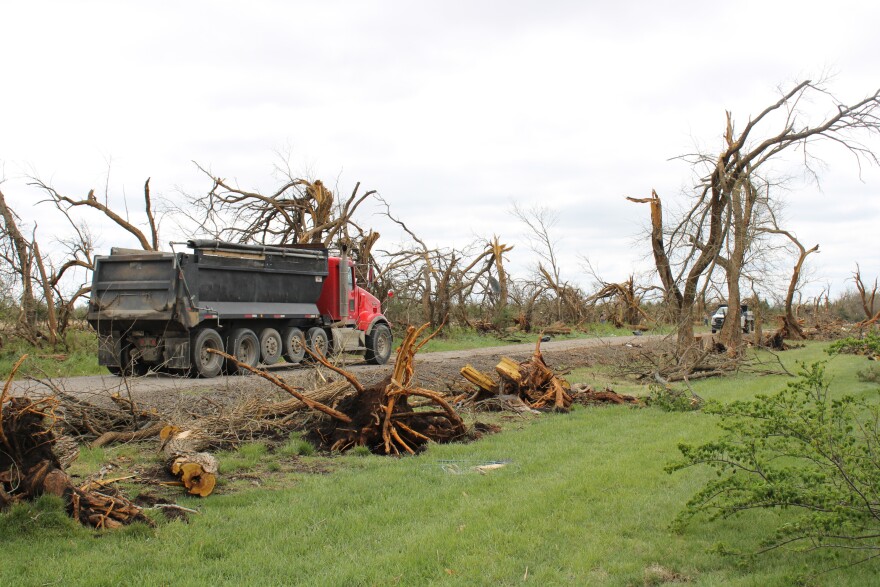 A truck drives along a backroad that is surrounded by destroyed trees.