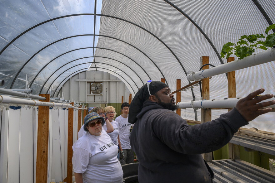 Herb Virgo works with volunteers in a greenhouse at the Keney Park Sustainability Project, June 2022.