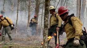 U.S. Forest Service firefighters battling a previous wildfire