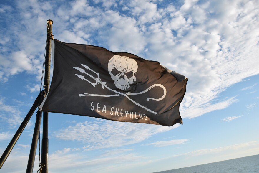 Sea Shepherd flag