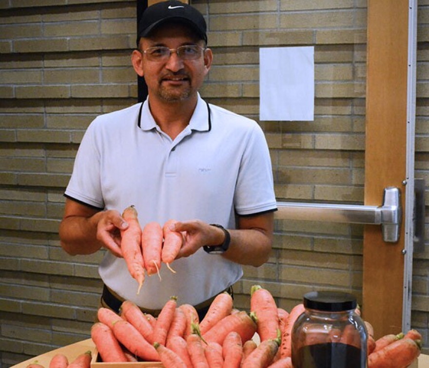 Resham Thapa, an associate research professional in the Center for Carbon Capture and Conversion at the University of Wyoming School of Energy Resources, holds up some of the carrots grown with coal char in the soil.