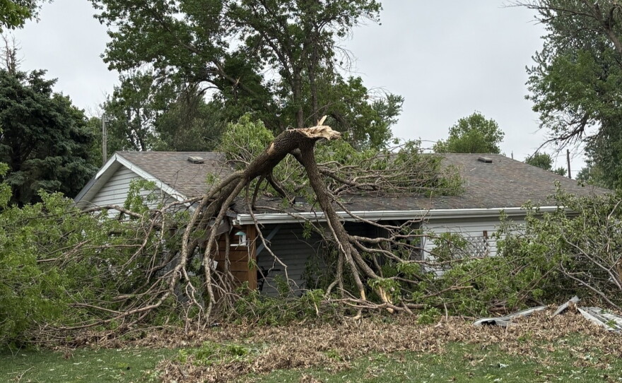 Iowa Public Radio: Recent Headlines and Breaking News 3 Tree on House