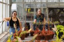 Researchers, including Colleen Doherty (middle), in lab surrounded by plants.