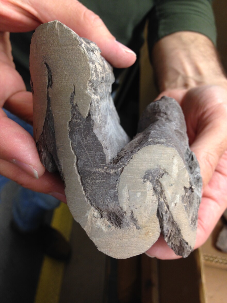 The Glasford fold shows how shale and rock was twisted and shaped by the impact of the meteor.