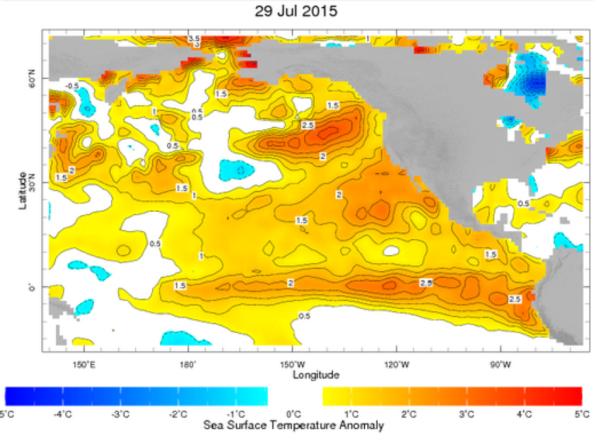 'The Blog' is indicated by dark orange on the West Coast of the U.S. The Blob is a patch of warm water that was detected by a University of Washington climatologist in 2013.