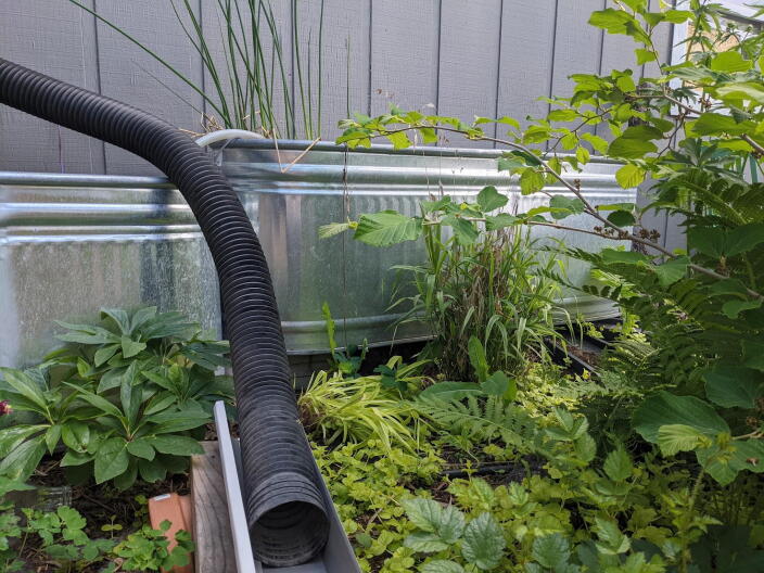 A rainwater catchment system.