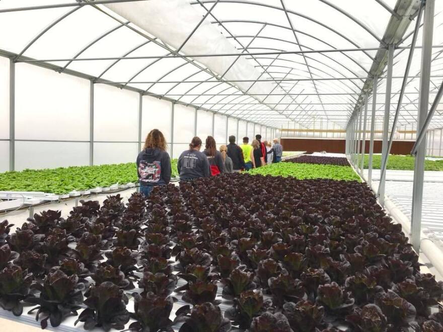 Dan Buck leads a school tour group through the 4B Farm greenhouse in western Kansas.