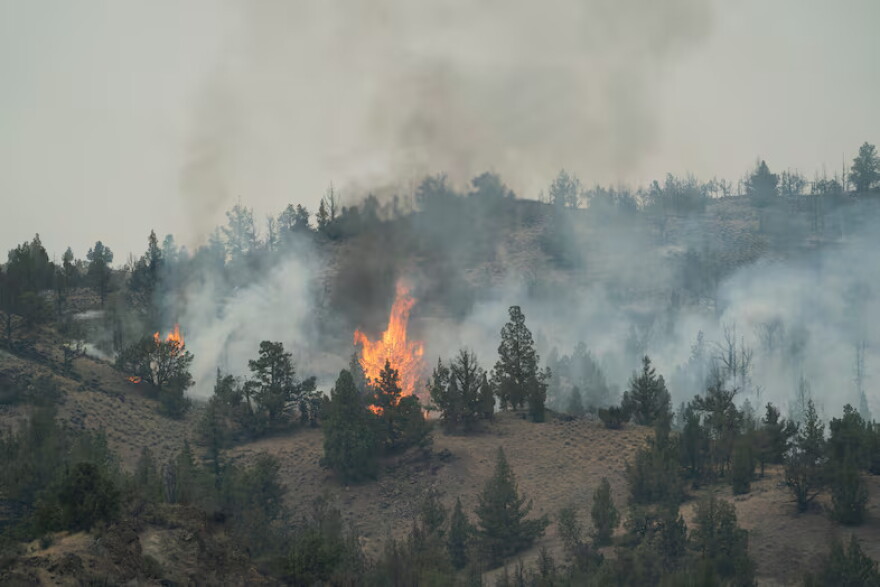 A stand of juniper trees torches at the head of the Rowe Creek Complex Fire near Mitchell, Ore., on July 21, 2026.