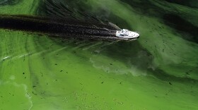 Gov. Ron DeSantis announced plans to introduce laws in the upcoming legislative sessions to tackle Florida's polluted water.