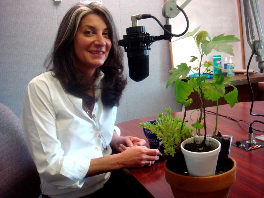 Elena and her plants