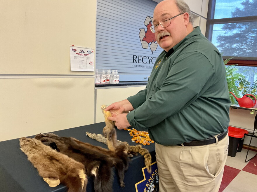Mark Ternent, the Pennsylvania Game Commission's regional biologist in the northcentral region, was one of the people on hand to answer questions during an open house the Game Commission held March 21, 2023, at the Centre County Recycling and Refuse Authority. Ternent was showing the pelt of an American marten, including the orange-yellow bib on its neck. 