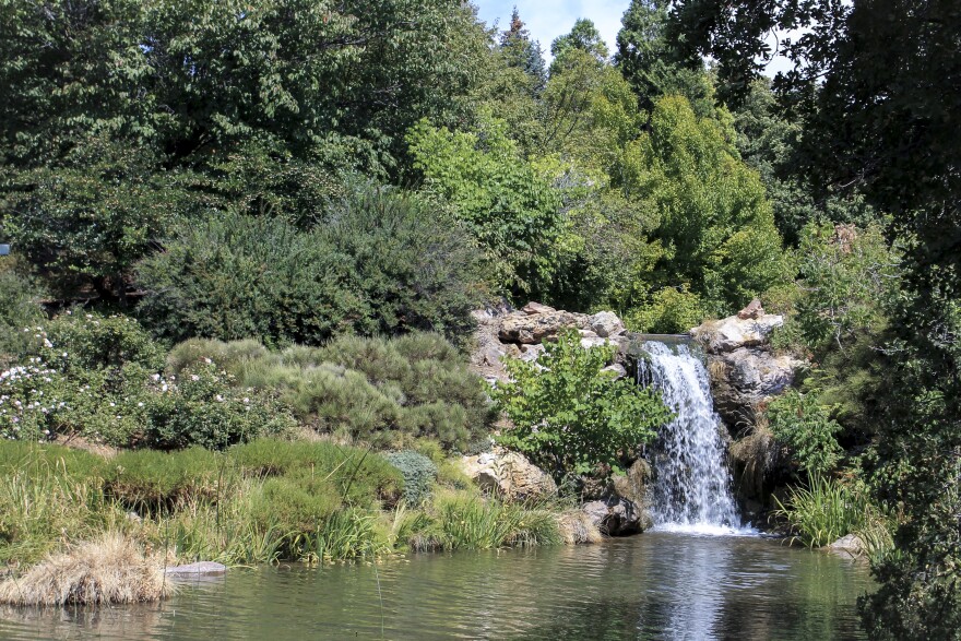 Image of pond and waterfall.