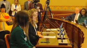 Christy Borders representing the University Professionals of Illinois at the Appropriations-Higher Education committee talked in support of a bill creating Evidence Based Funding formula for higher education at the capitol in Springfield on March 26, 2026.