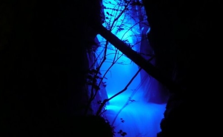 Ladder Creek Falls lit by blue LEDs.