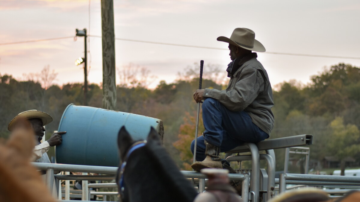 North Carolina's Black cowboy clubs keep the spirit of the frontier alive - Vimarsana News