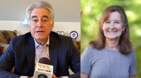 Incumbent democrat Al Stirpe is being challenged by republican Karen Ayoub in the 127th assembly district race.