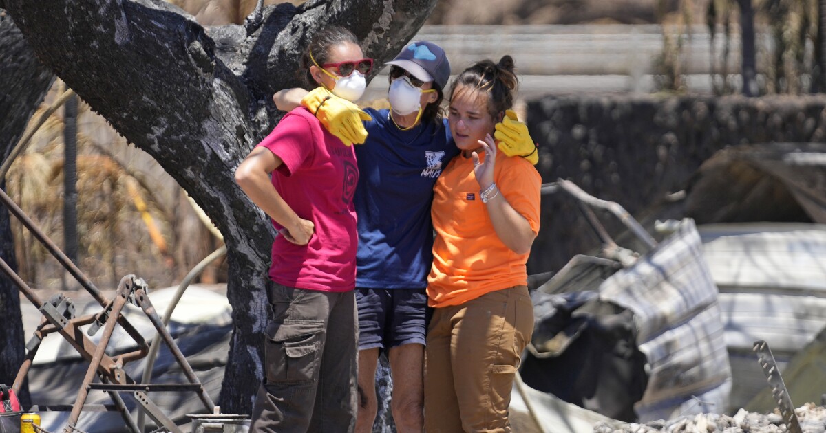 Mental health services available to Maui residents as wildfire survivors process tragedy