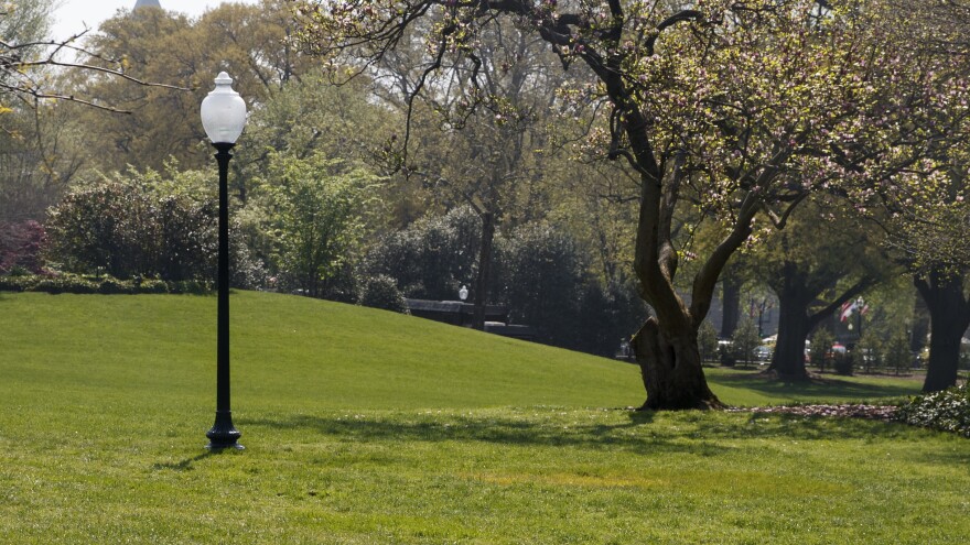 A photo shows the empty area where an oak tree was planted by President Trump and French President Emmanuel Macron days earlier on the White House's South Lawn.