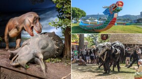 (Clockwise from left) Dino Days of Summer, the Dragon Boat Festival and the Bristol Renaissance Faire.